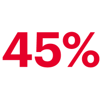 icon - 45%